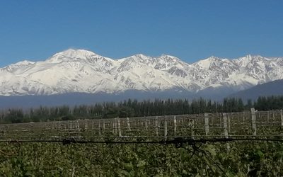 Bodega Catena Zapata.