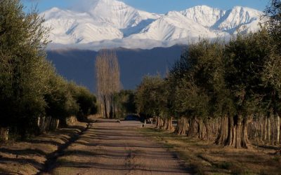 Artículo de ejemplo 3