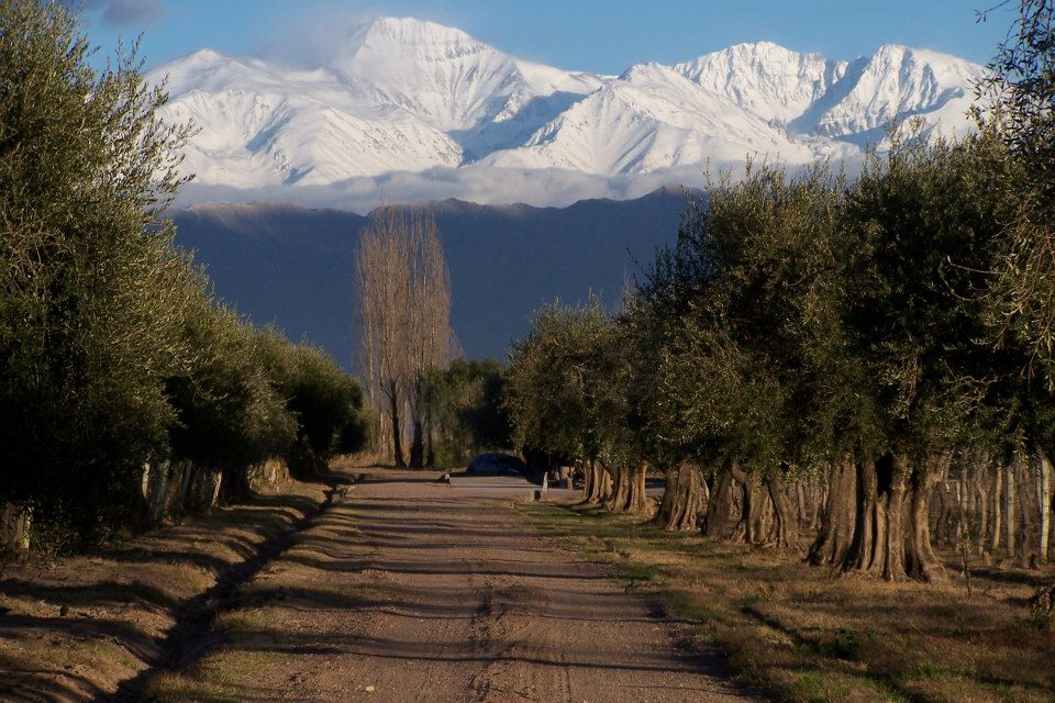 Artículo de ejemplo 3